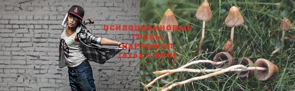 эйфоретик Лихославль