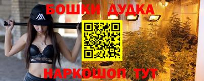 крисы Кимры
