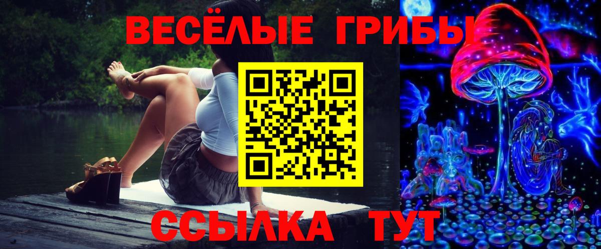 Псилоцибиновые грибы прущие грибы Узловая