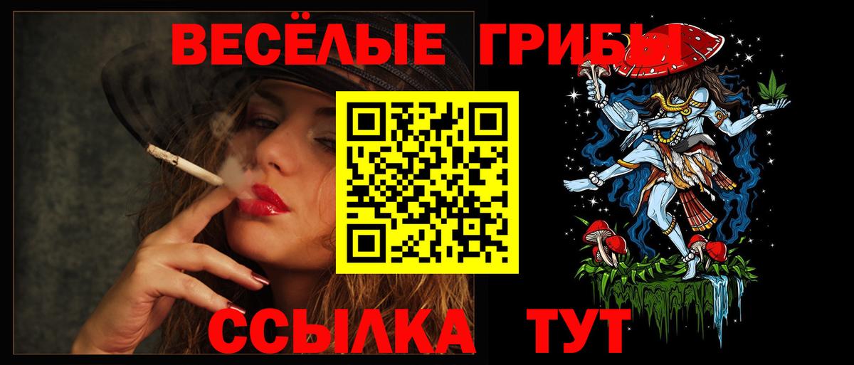 Псилоцибиновые грибы прущие грибы  где купить наркоту  Узловая  Вход с VPN 
